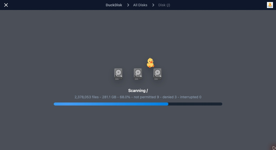DuckDisk scanning a local disk with file, size, percentage, and permission issue progress